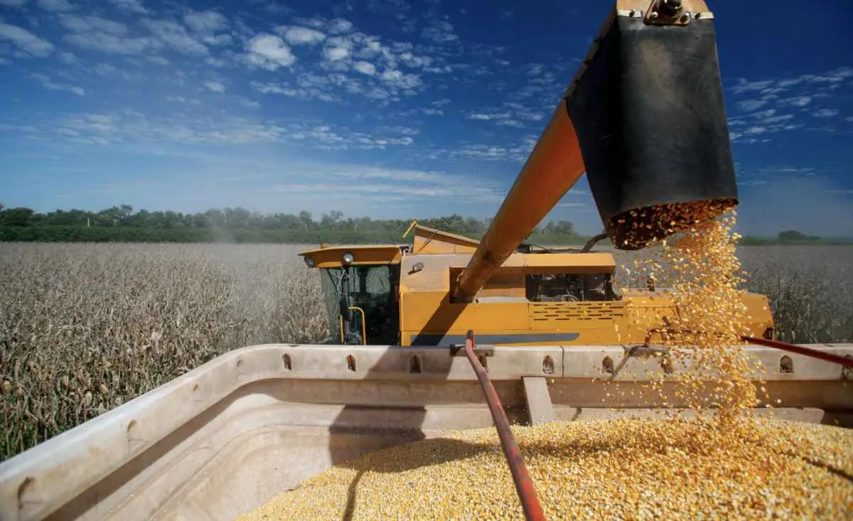 Fusões do agronegócio em 2025 superam média do país