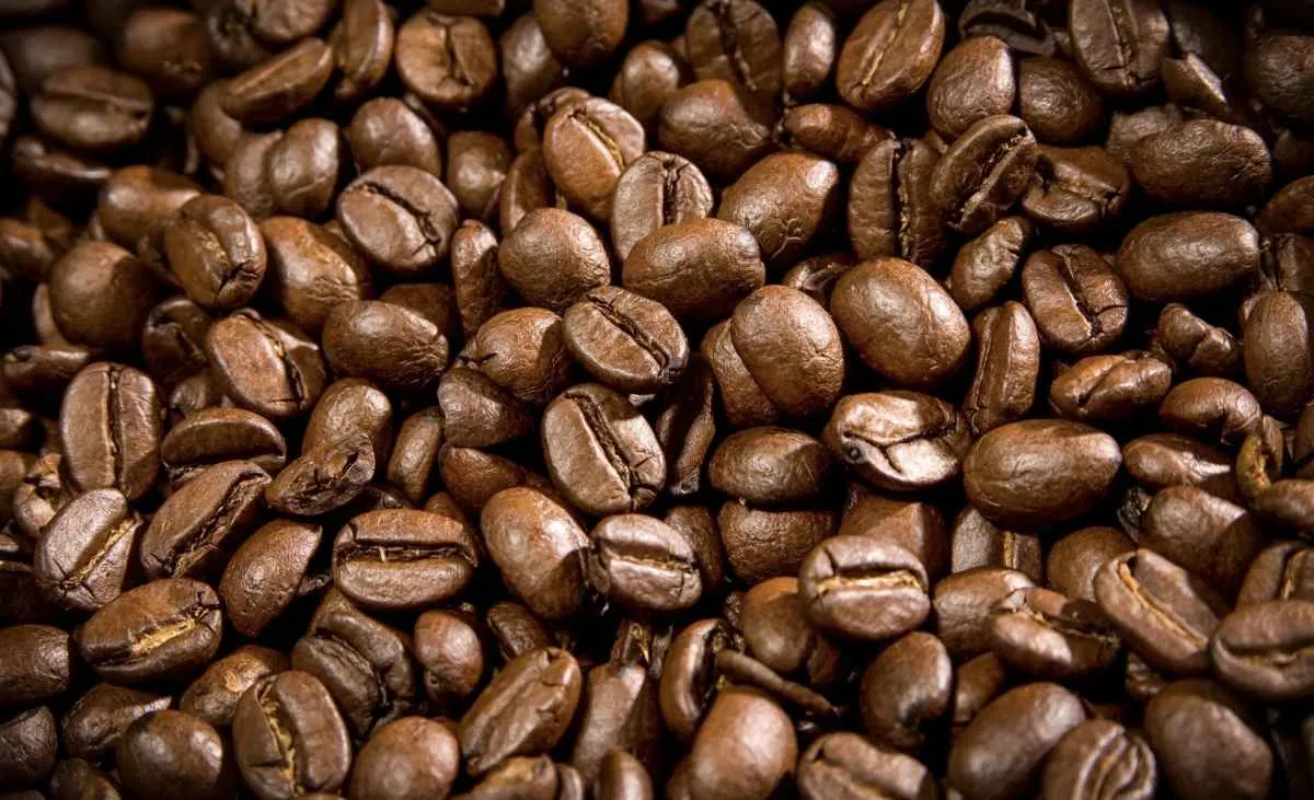 Alta de preço do café robusta supera 40% em agosto