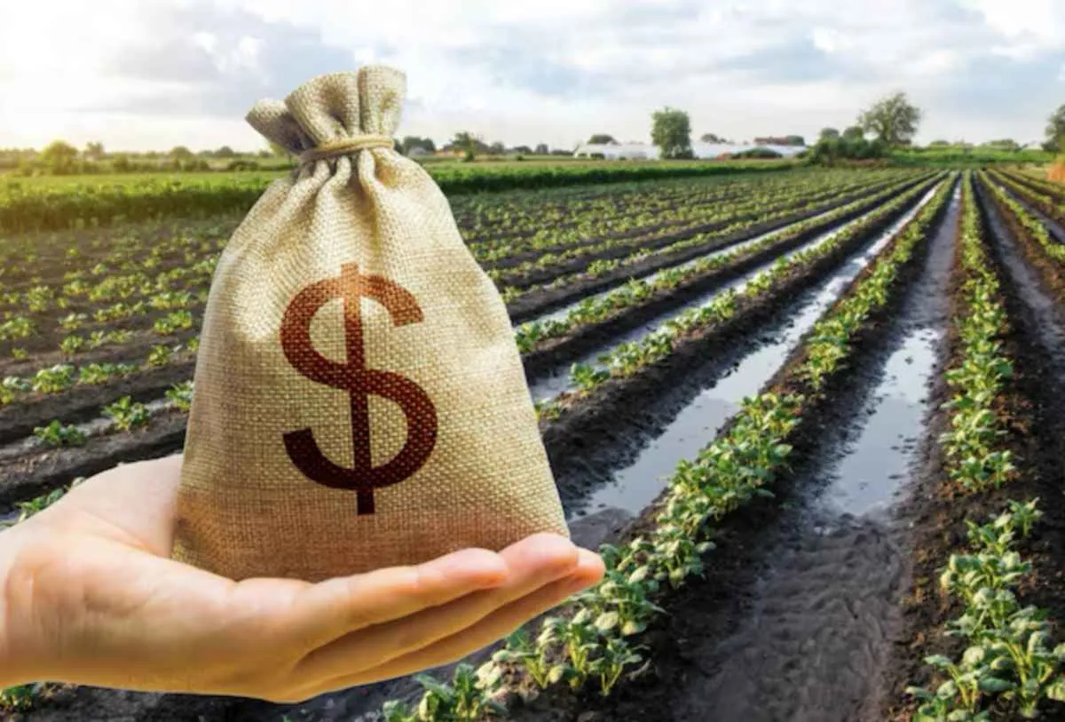 IPPA recua 3,2% em julho e acumula alta de 16,4% no ano