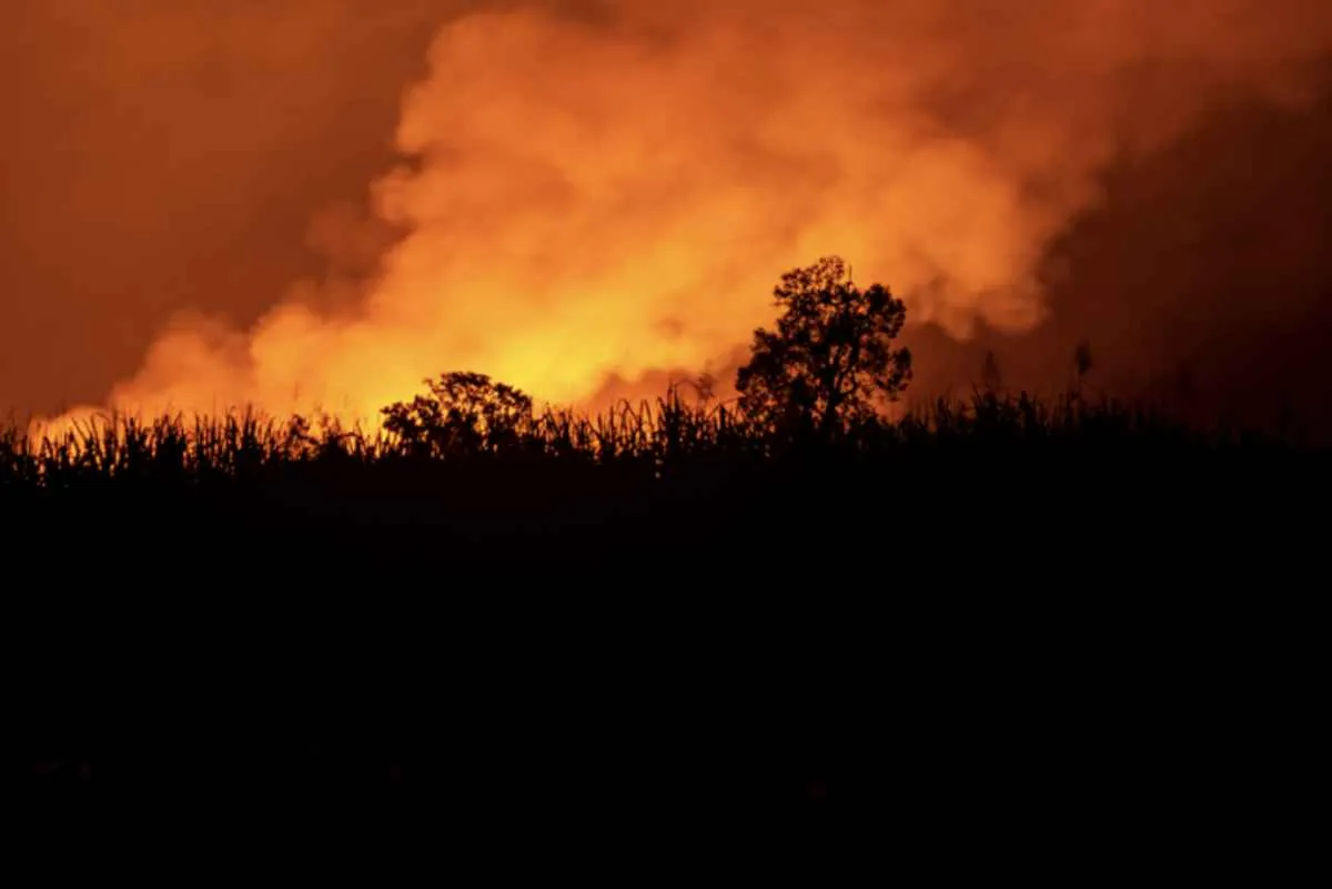 Setembro exige atenção redobrada contra incêndios no campo