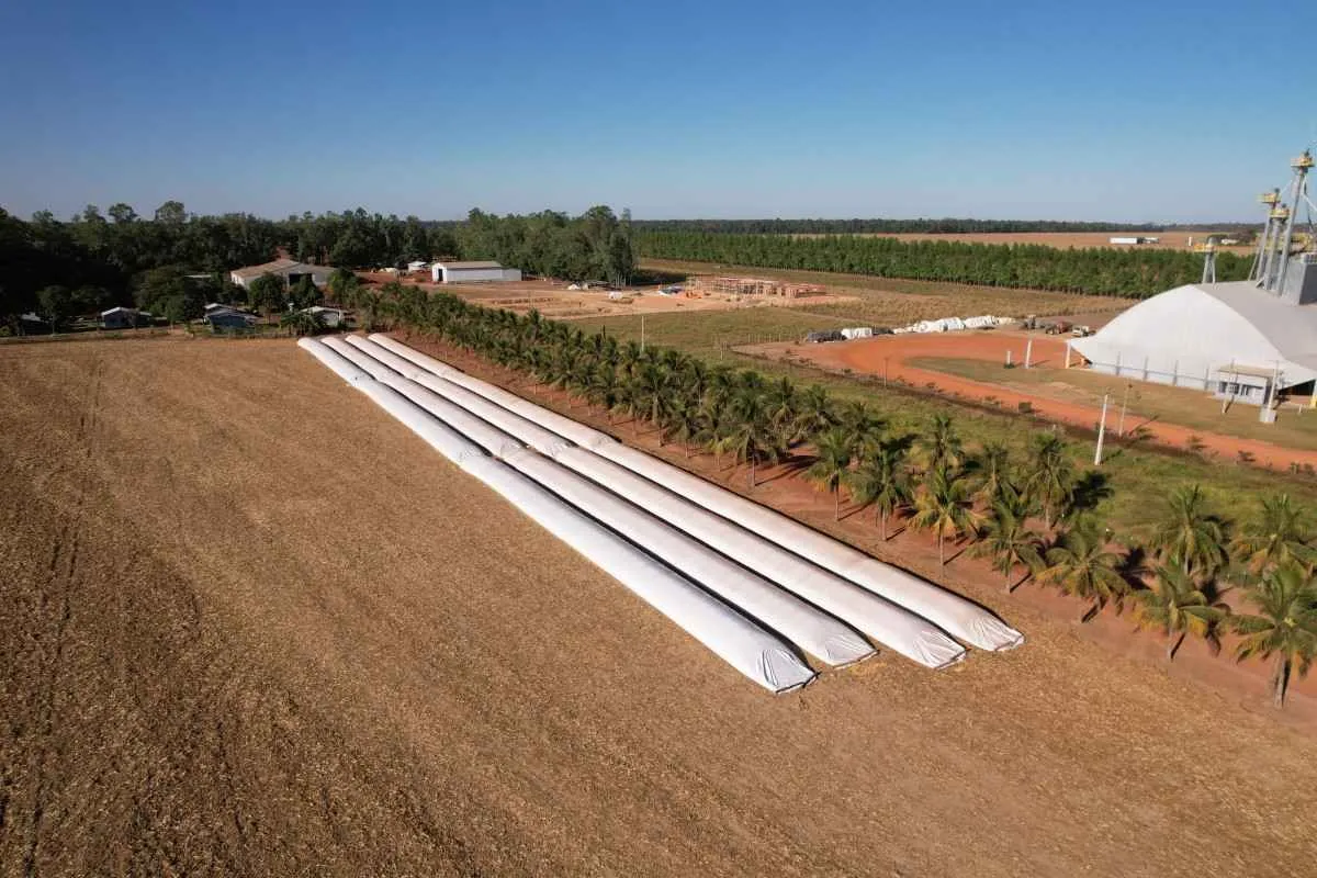 Armazenagem é desafio estratégico para produtores em MT