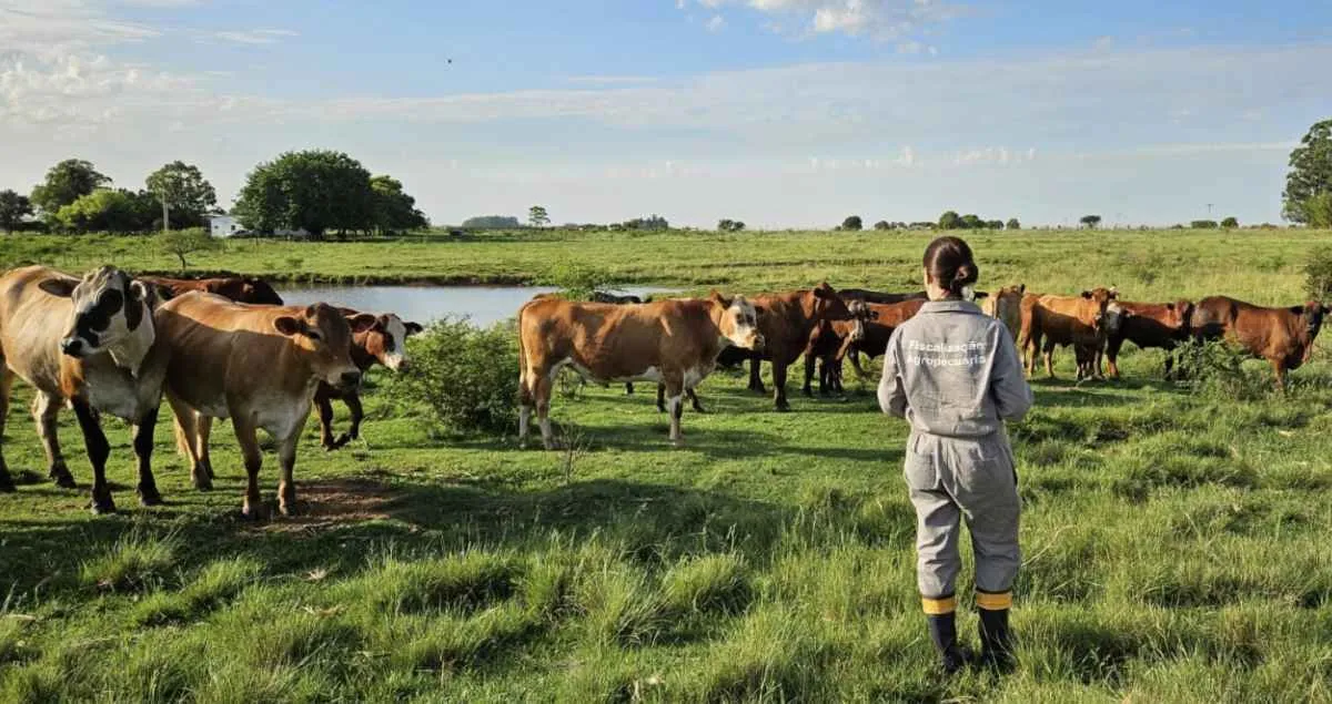Afagro alerta para risco de precarização da Defesa Agropecuária no RS