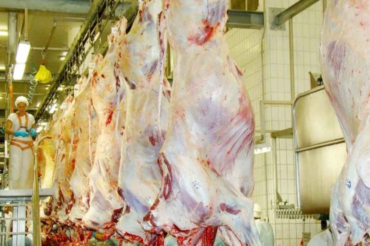 Produtos de MS mantêm crescimento no mercado internacional
