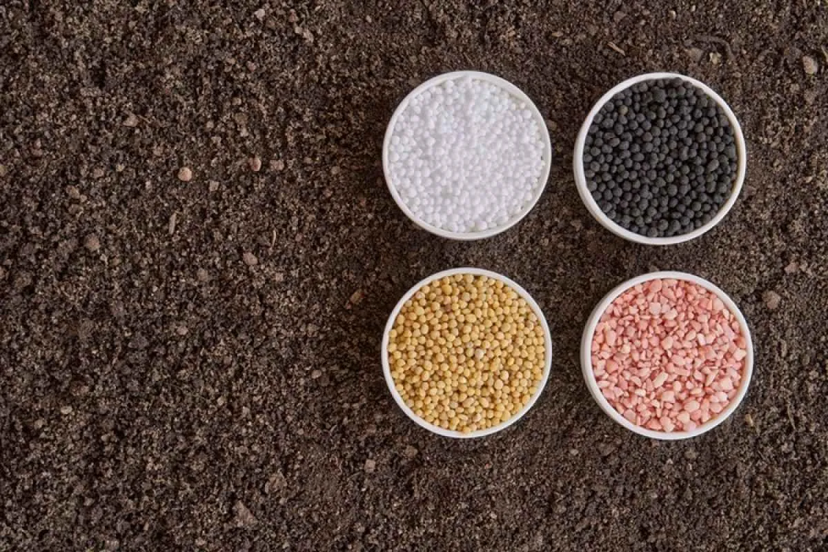 Amônia e enxofre em alta elevam custos dos fertilizantes