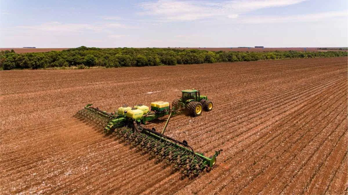Vazio sanitário da soja termina em Goiás e produtores podem iniciar plantio