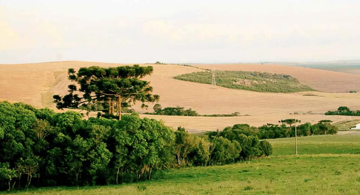 Sistema FAEP critica aumento de custos cartoriais no Paraná