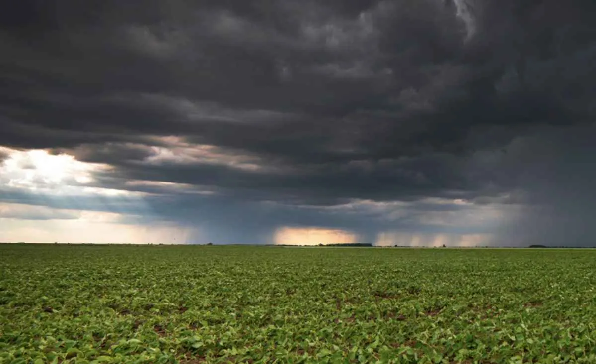 Produtor do PR atingido por evento climático tem nova linha de crédito