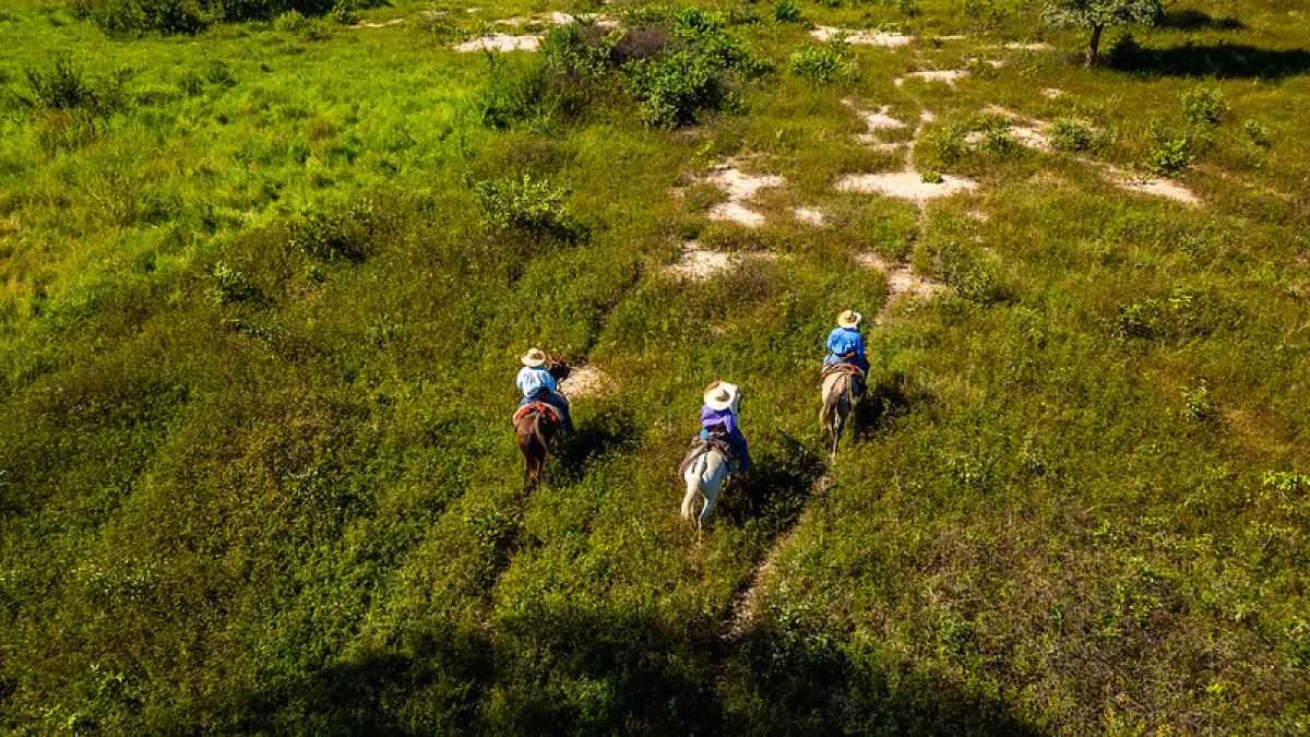 Famato apoia produtores em consulta sobre Reserva do Taiamã