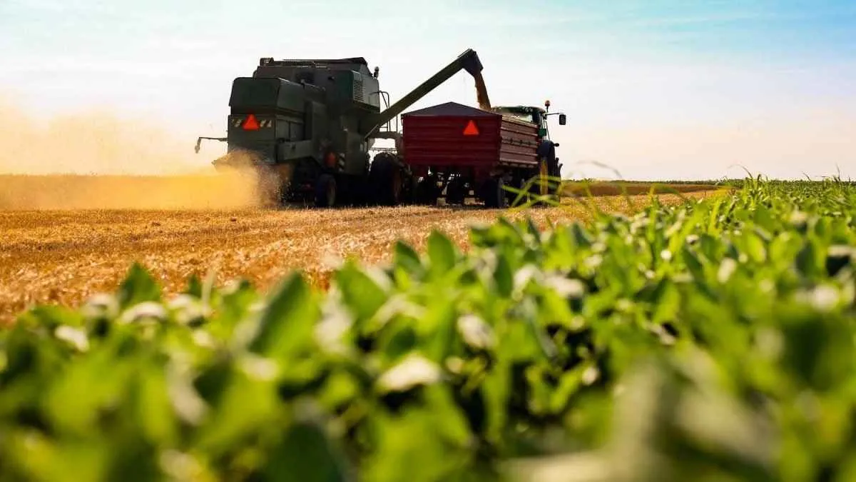 Crédito rural impulsiona crescimento da produção agropecuária