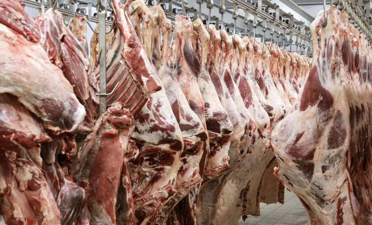 Exportação de carne bovina cresce 34% até agosto de 2025