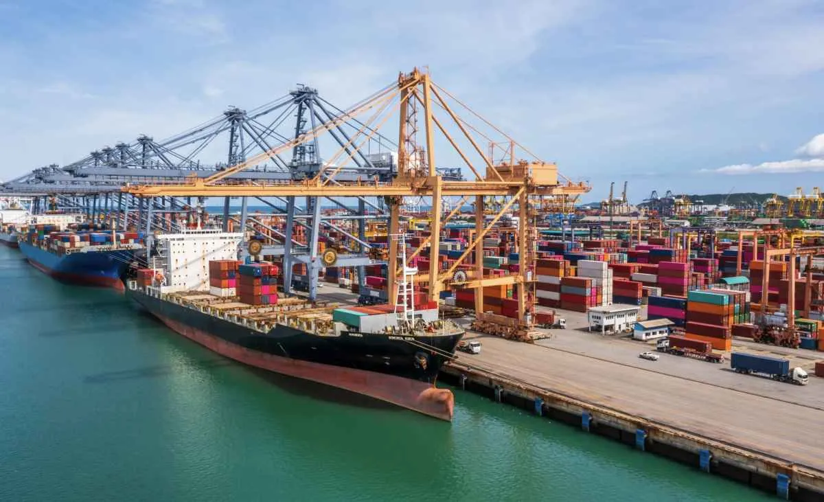 Exportações de carne bovina avançam com apoio da China