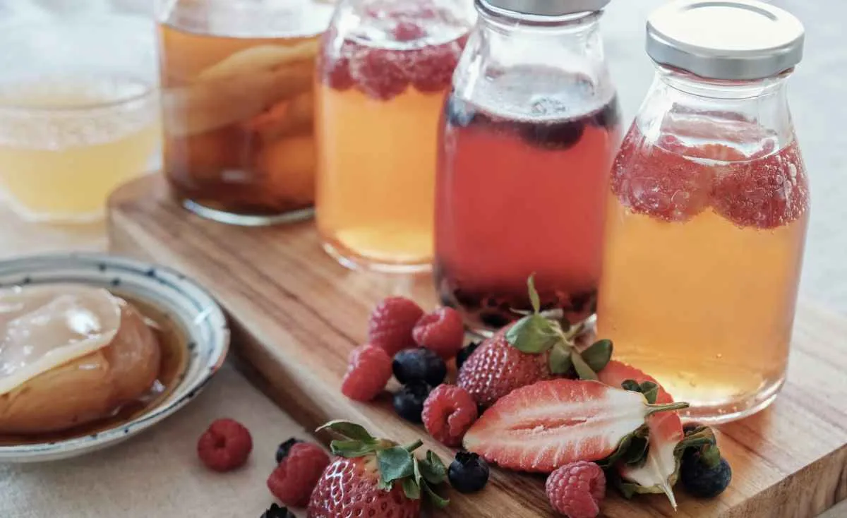 Crescimento do setor de kombucha supera 900% no Brasil