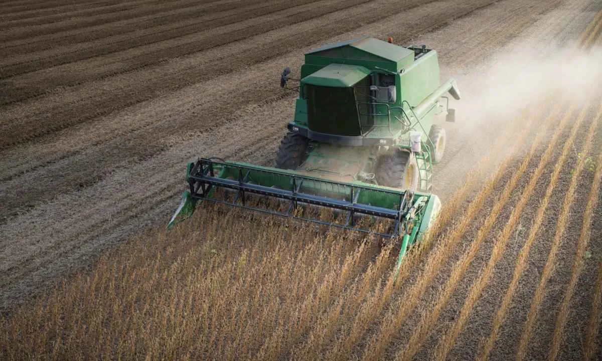 Produção de grãos na safra 2025/26 deve chegar a 353,8 mi t