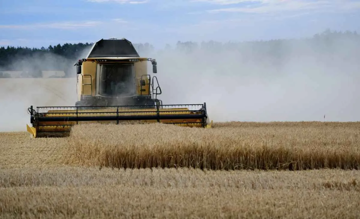 Valor médio do trigo no Paraná em setembro é o mais baixo desde abril de 2024