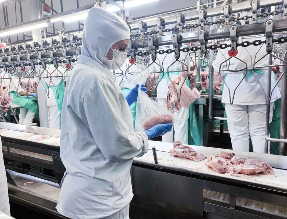 China audita sistema brasileiro em meio a risco de privatização