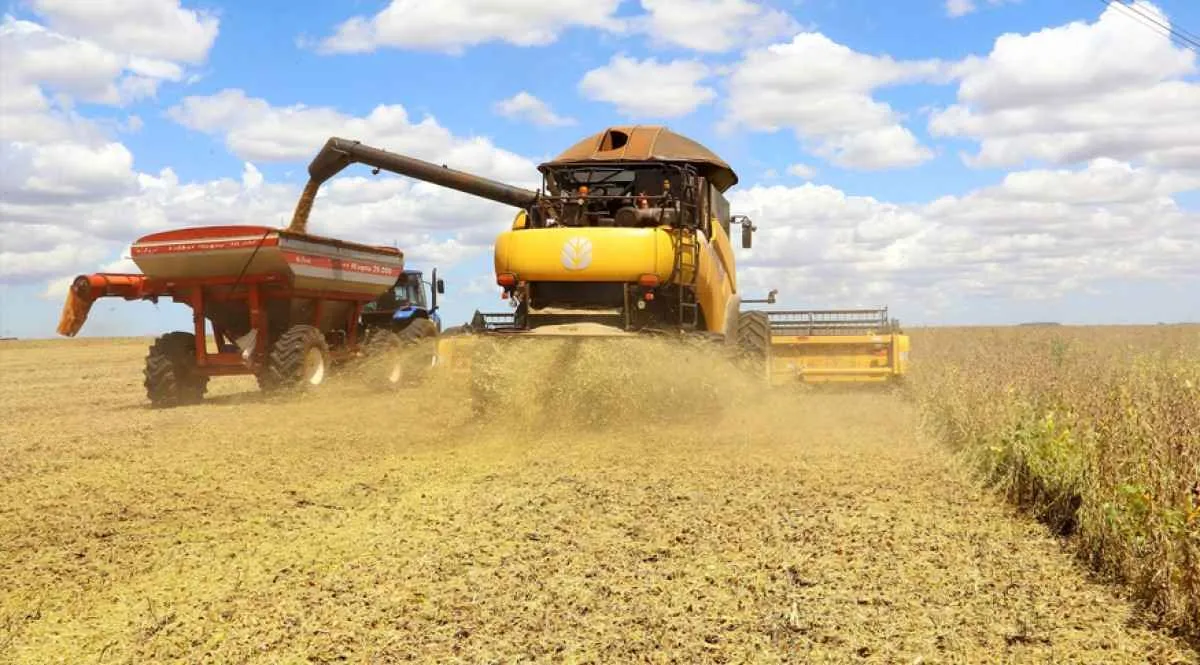 Produção agrícola tem queda pelo segundo ano seguido