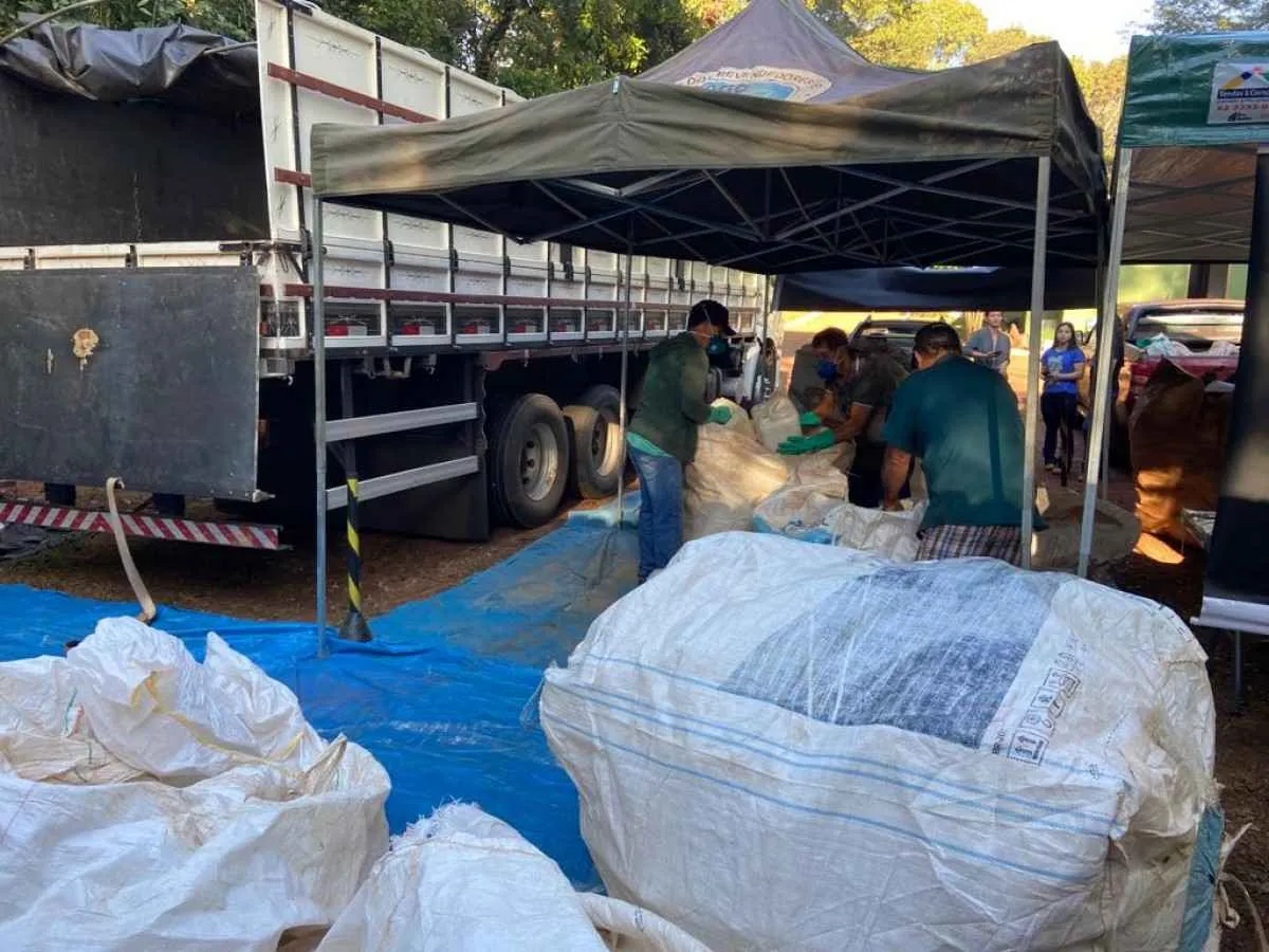 Agrodefesa recolhe embalagens de agrotóxicos em ação
