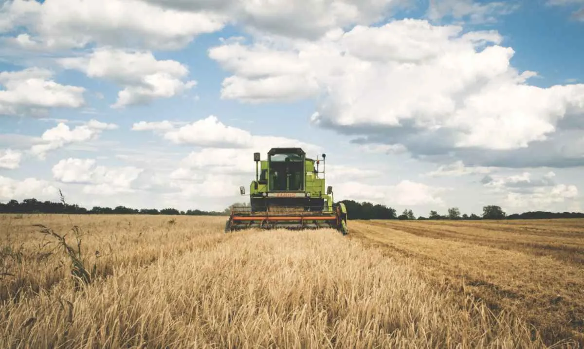 População ocupada no agronegócio no 2º trimestre é recorde