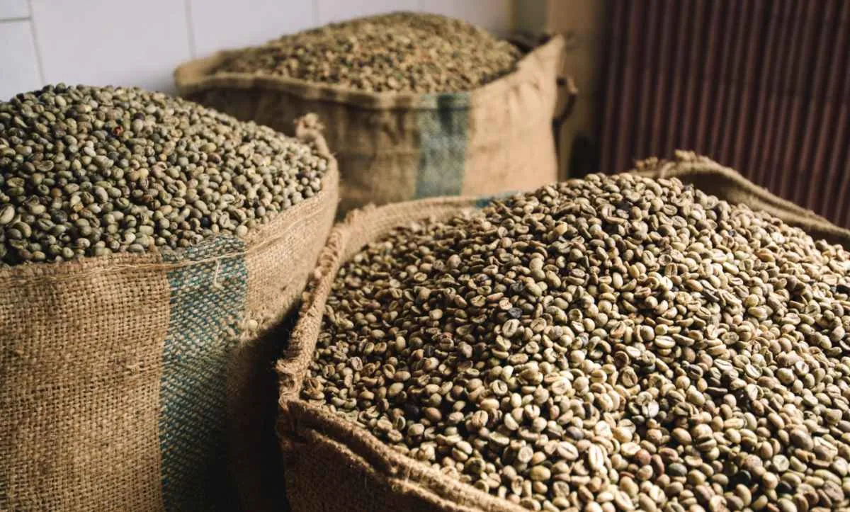 Exportações de café registram queda no volume mas alta no preço médio