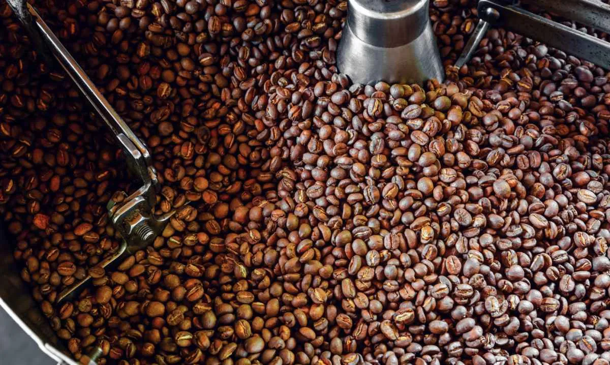 Produção de café em 2025 deve chegar a 55,2 milhões de sacas