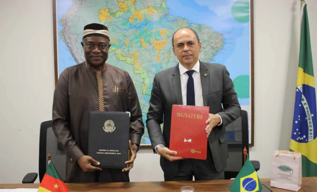 Brasil e Camarões firmam acordo para fortalecer produção de cacau sustentável