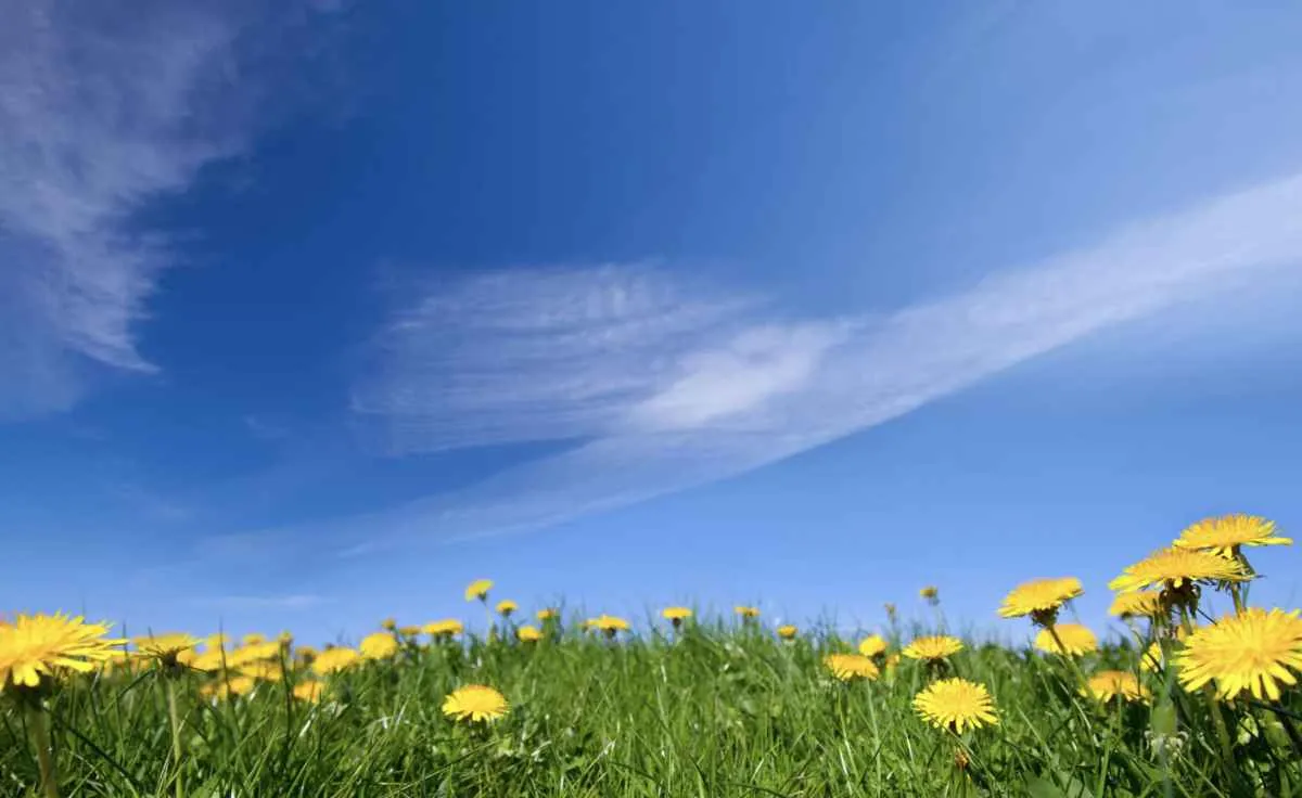 Primavera 2025 terá influência do La Niña no clima do Brasil