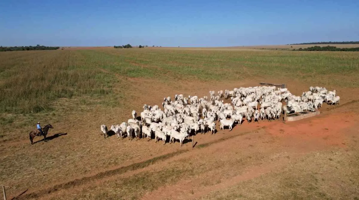 Imac esclarece dúvidas do Prodes para pecuaristas de MT