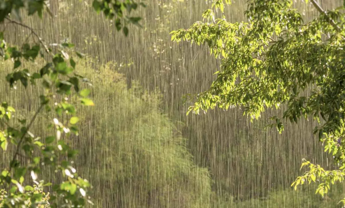 Final de semana terá chuva forte no Sul e calor no Brasil