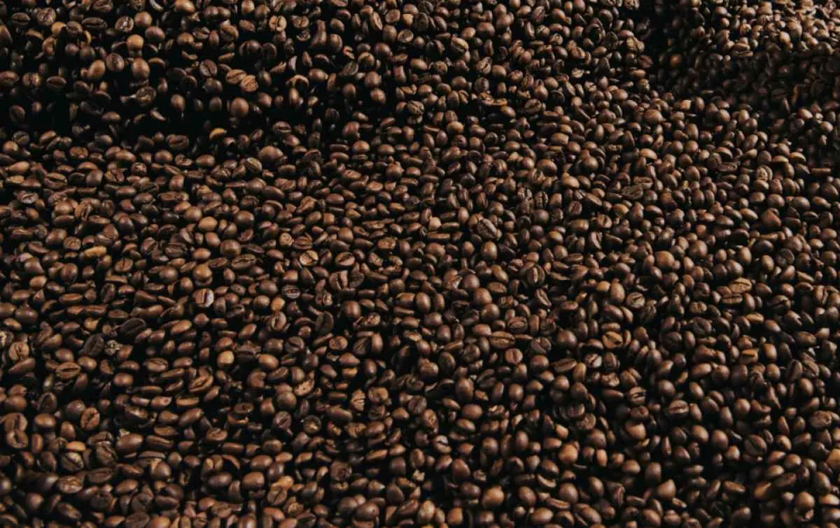 Queda de preço do café chega a 11% em uma semana