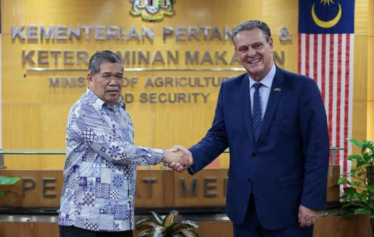 Brasil retoma exportações de frango e amplia acesso à Malásia