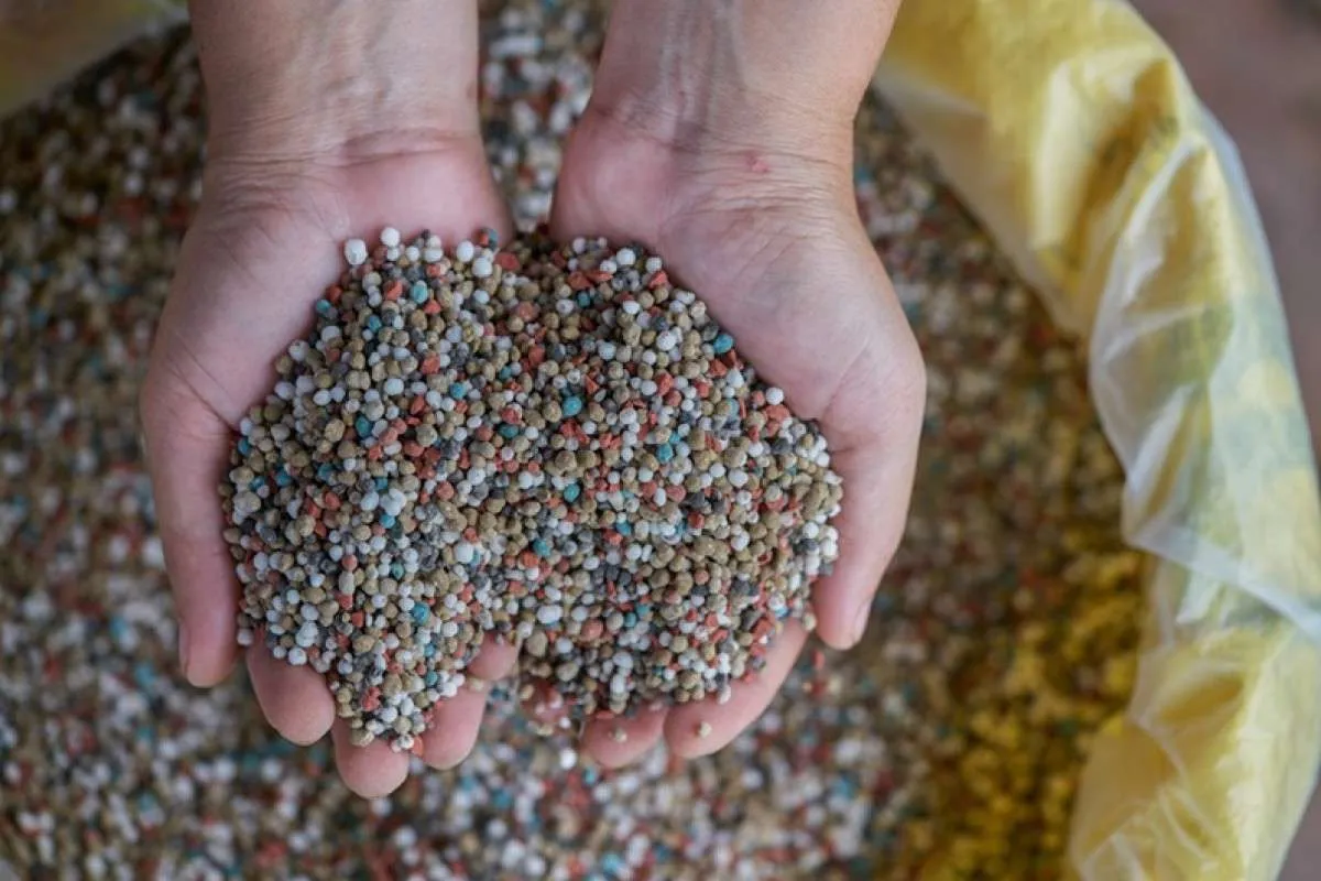 Uso de fertilizantes menos concentrados cresce no Paraguai e no Brasil em 2025