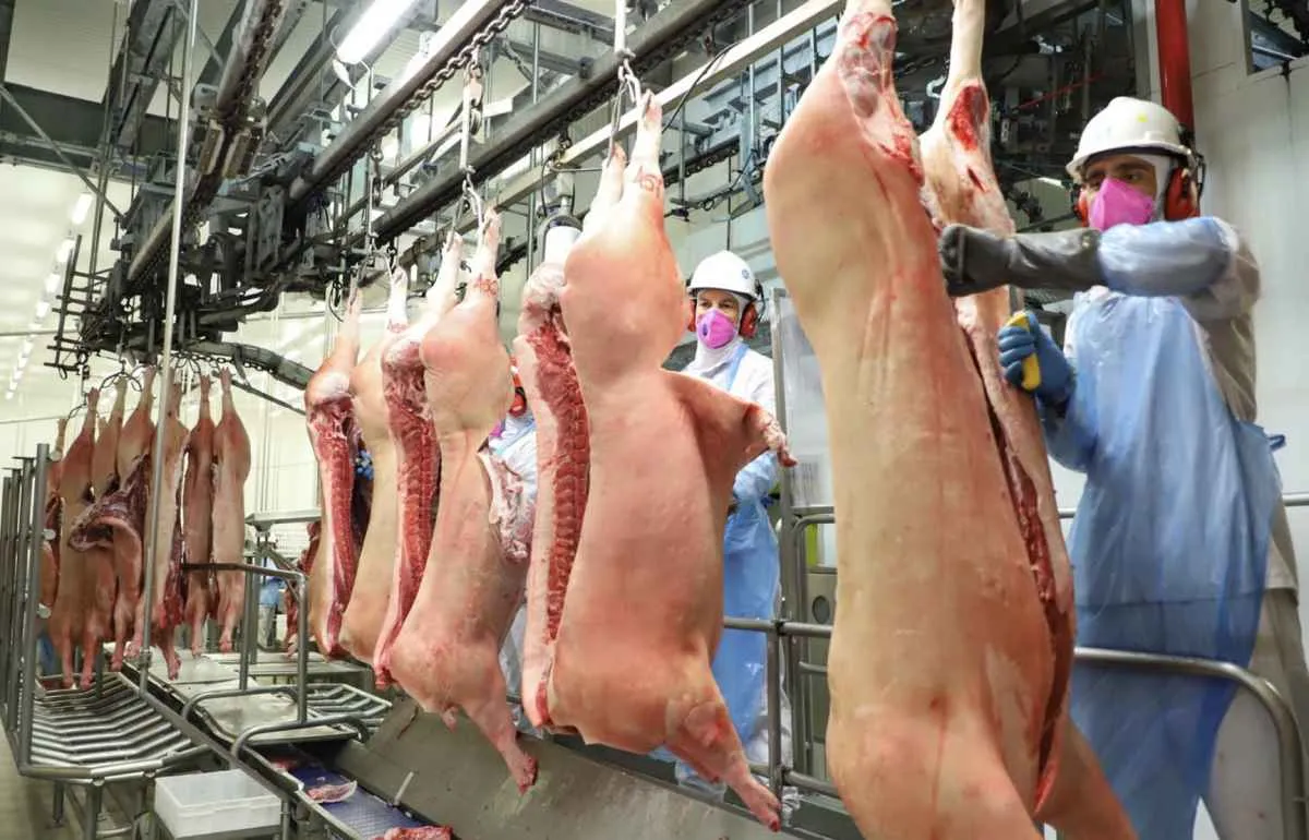 Exportações de carnes do Paraná batem recorde em setembro