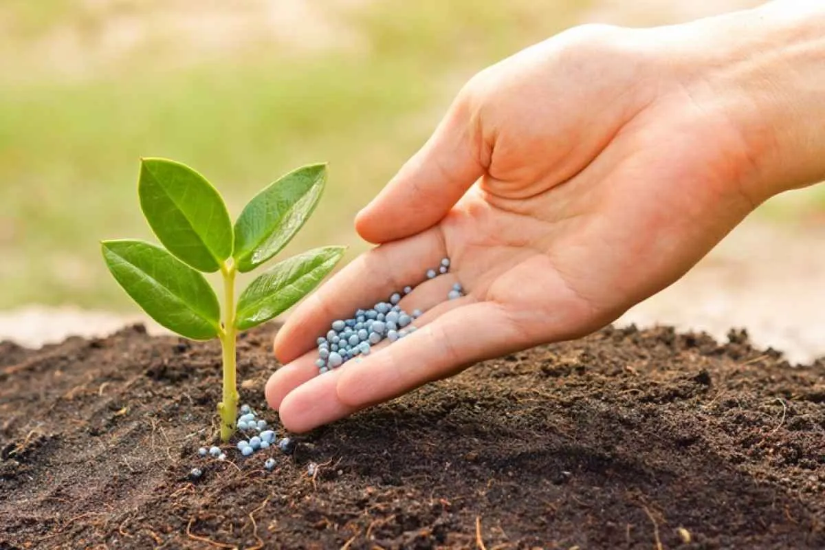 Risco de restrição chinesa nas exportações de fertilizantes preocupa mercado global