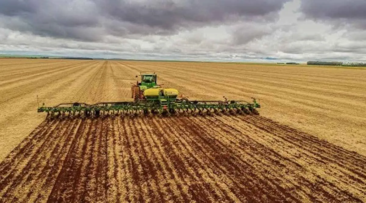 Plantio de soja em Goiás avança lentamente e preocupa produtores com janela da safrinha