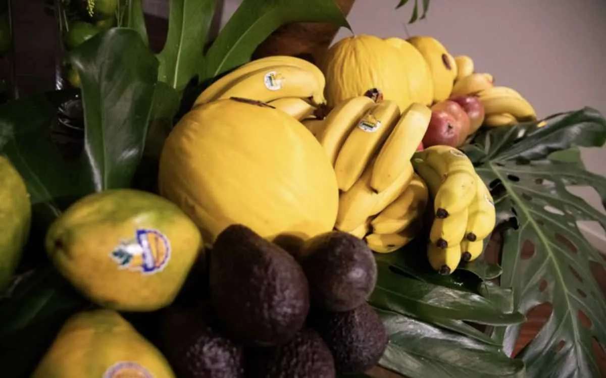 Brasil reforça presença na Argentina com o Frutas do Brasil Festival