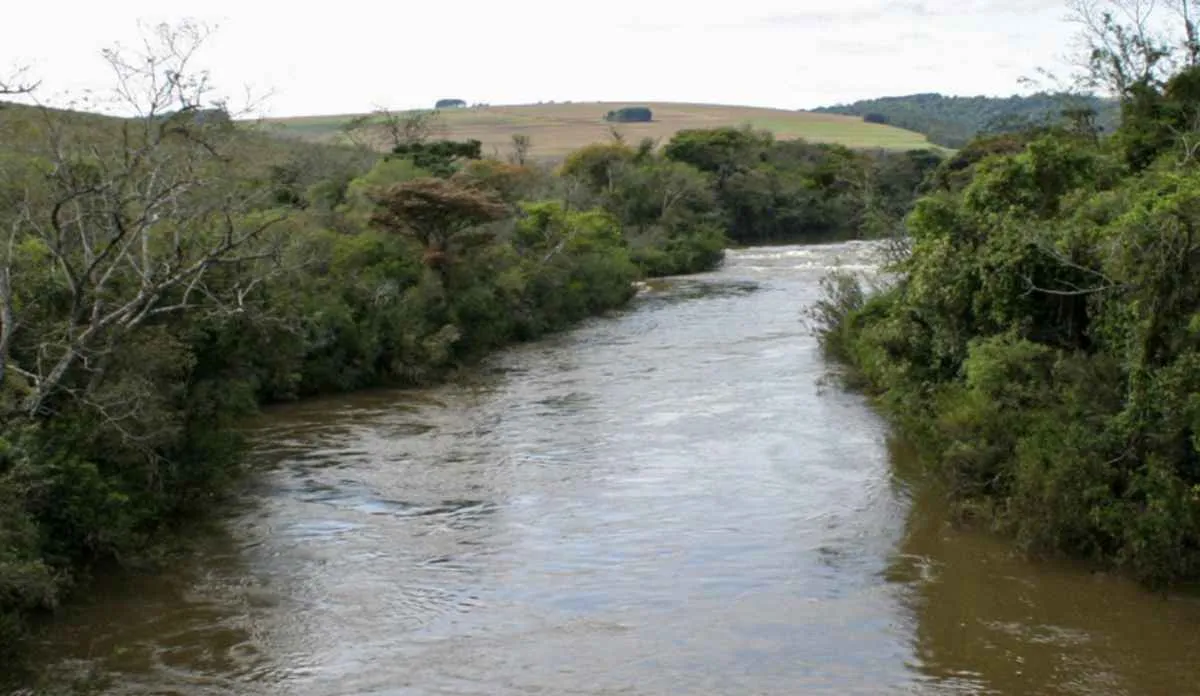 Sistema FAEP garante aplicação do Código Florestal no Paraná
