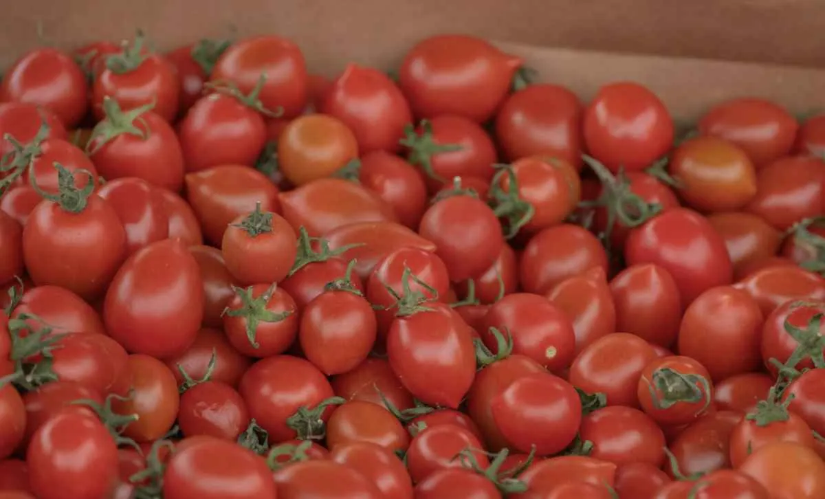 Preços do tomate sobem com força no atacado