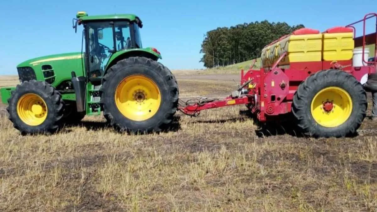 Semeadura do arroz no RS já supera 50% da área prevista