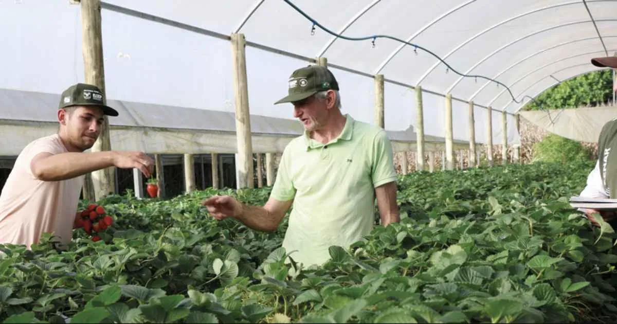 Produtor rural é essencial para o cumprimento dos ODS da ONU