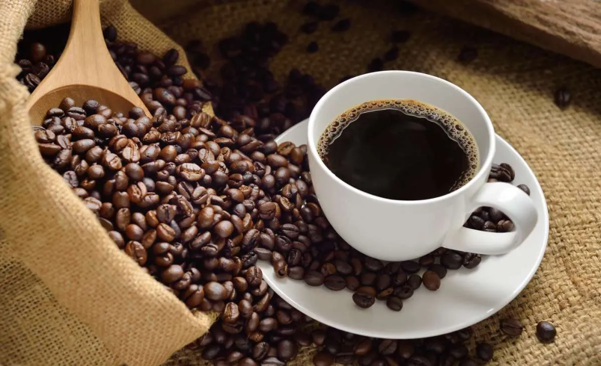 Café no Brasil cresce como hábito diário e símbolo de sustentabilidade