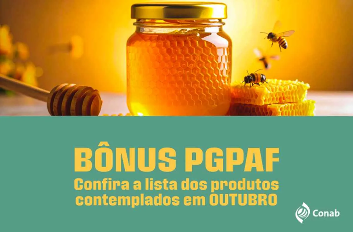 Confira os produtos com bônus do Pronaf em outubro