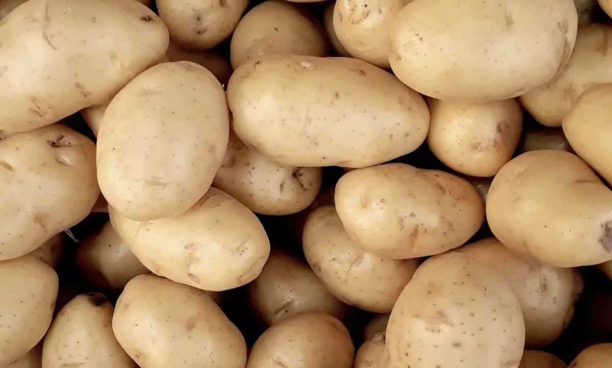 Preço da batata sobe nos atacados