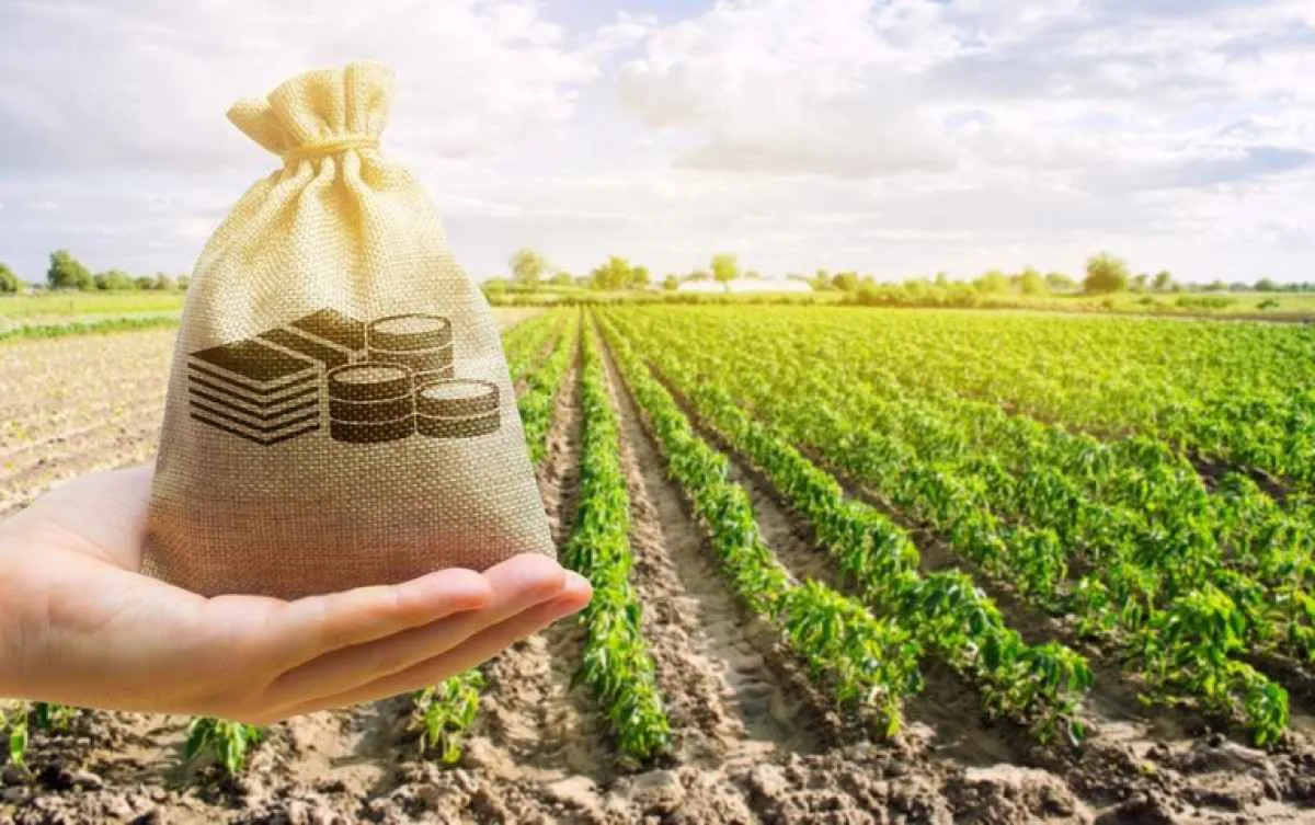 Farsul aponta pior crise de crédito rural do país desde 1995