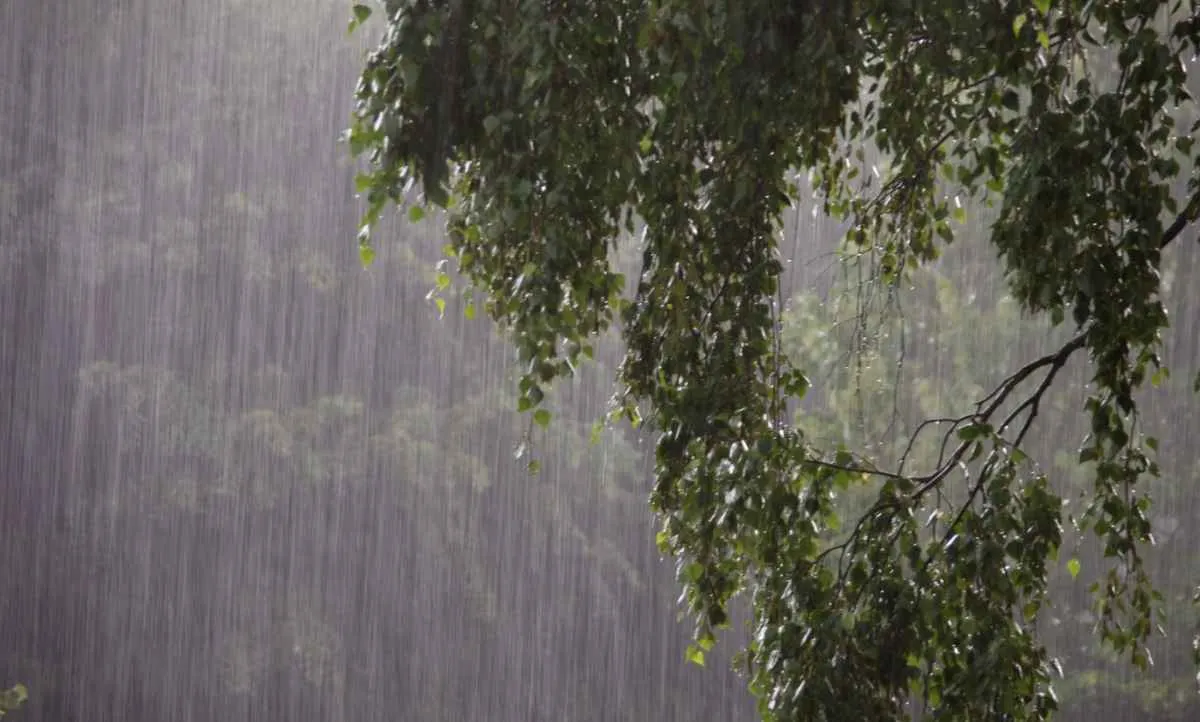 Previsão para quinta aponta chuva no Norte e Nordeste e ar seco no Centro-Sul