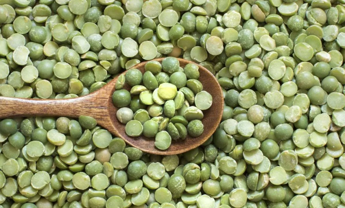 Benefícios das lentilhas para saúde e nutrição diária