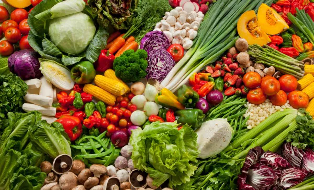 Brasil institui política para reduzir desperdício de alimentos e ampliar doações