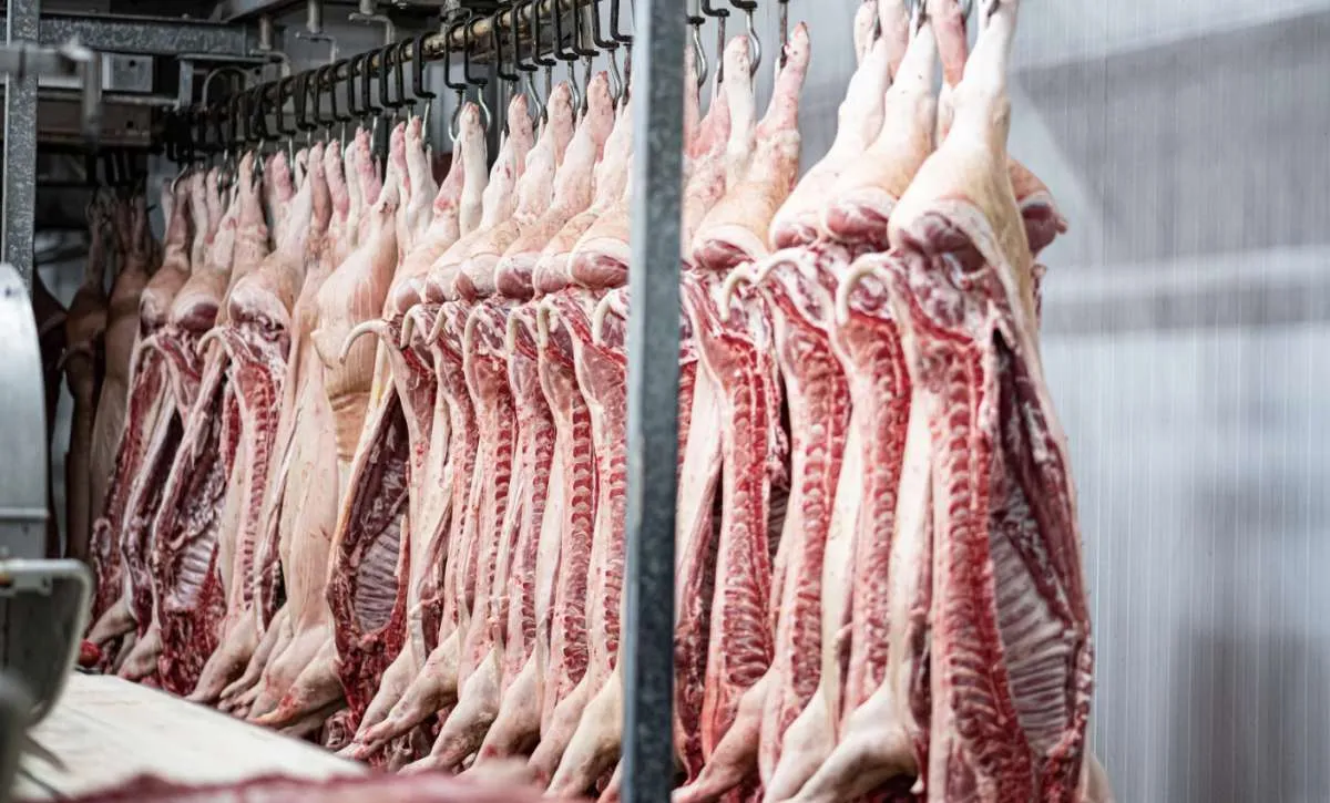 Setembro registra recorde nas exportações de carne bovina