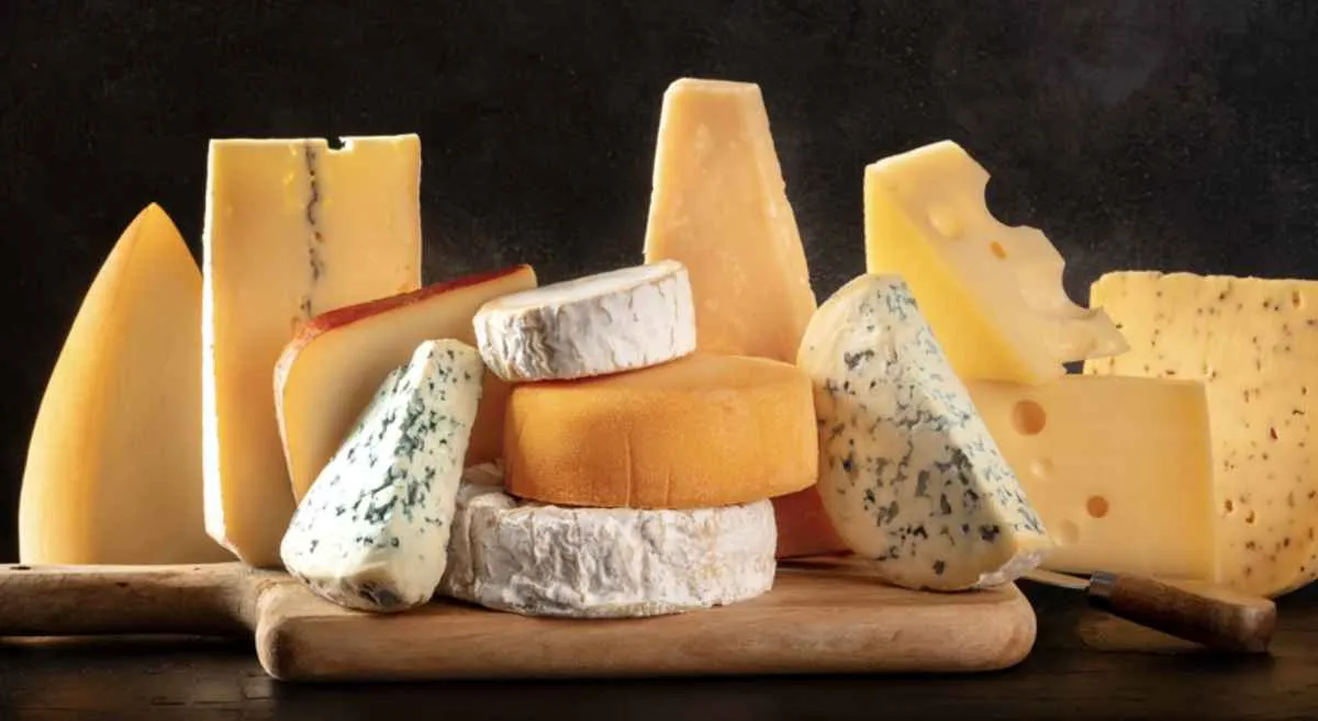 Isenção do ICMS fortalece produção de queijo no Paraná