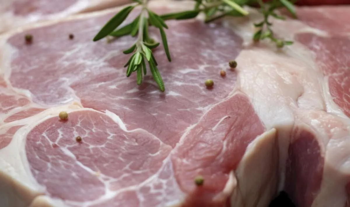 Exportações de carne suína batem recorde histórico em setembro