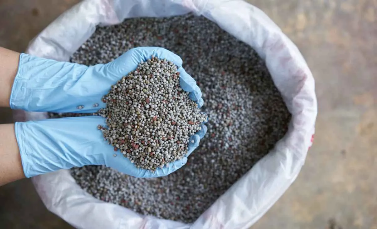 IPCF de setembro recua 7% e fertilizantes ficam mais acessíveis